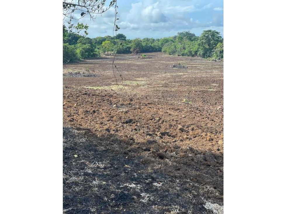 VENDO 4 HECTARES Y MEDIA INTERAMERICANA CERCA A FRONTERA - 2