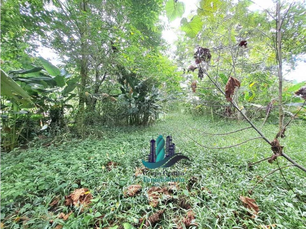 VENDO 4 HECTARES Y MEDIA INTERAMERICANA CERCA A FRONTERA - 3