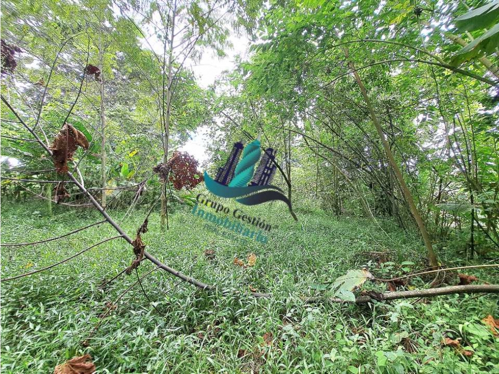 VENDO 4 HECTARES Y MEDIA INTERAMERICANA CERCA A FRONTERA - 4