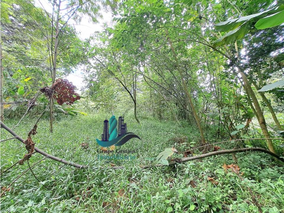 VENDO 4 HECTARES Y MEDIA INTERAMERICANA CERCA A FRONTERA - 5
