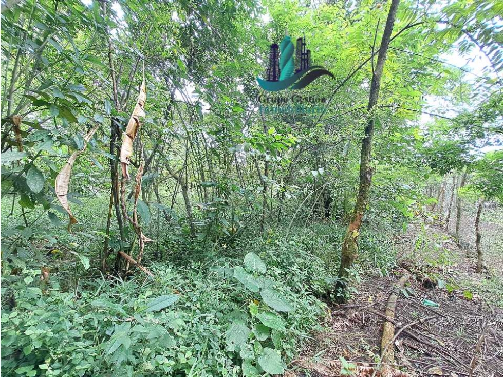 VENDO 4 HECTARES Y MEDIA INTERAMERICANA CERCA A FRONTERA - 6