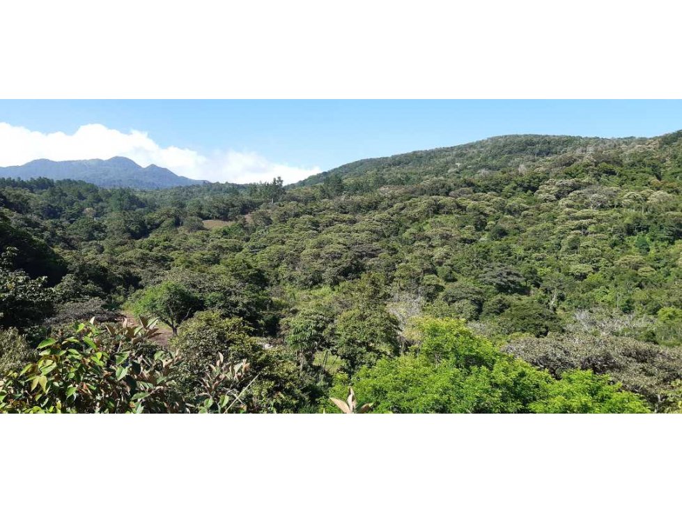 VENDO 5 LOTES DESDE 1415MTS EN ALTO BOQUETE — foto 5