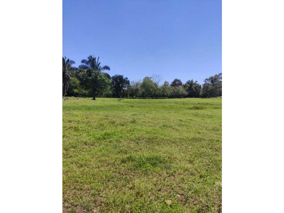 VENDO 6.6 HECTAREAS DE TERRENO EN SIOGUI - 2
