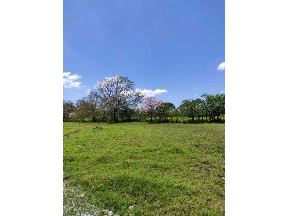 VENDO 6.6 HECTAREAS DE TERRENO EN SIOGUI - 3