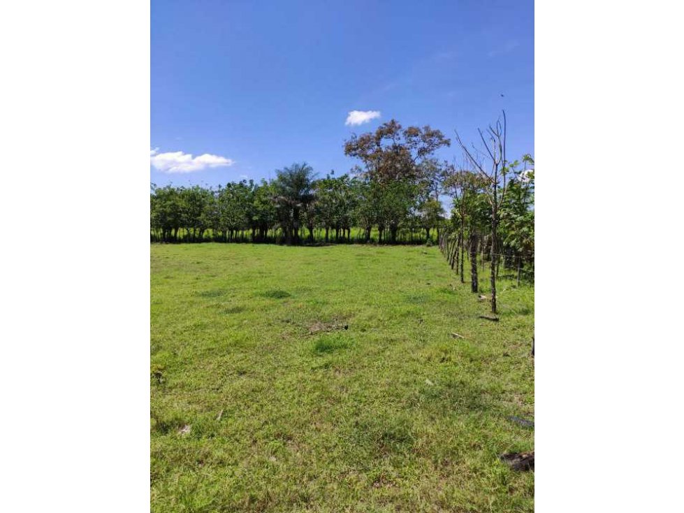 VENDO 6.6 HECTAREAS DE TERRENO EN SIOGUI - 5