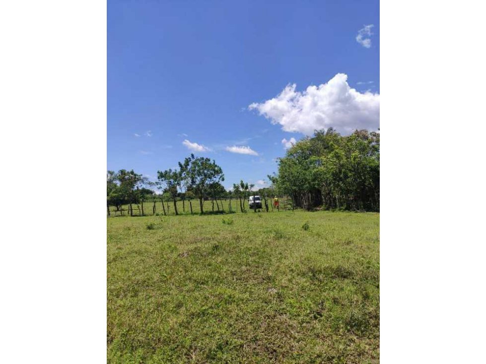 VENDO 6.6 HECTAREAS DE TERRENO EN SIOGUI - 6