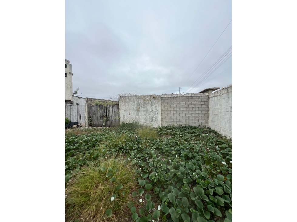 Vendo 6 terrenos en Santa Paula Salinas $35,000 Cada Uno - 6