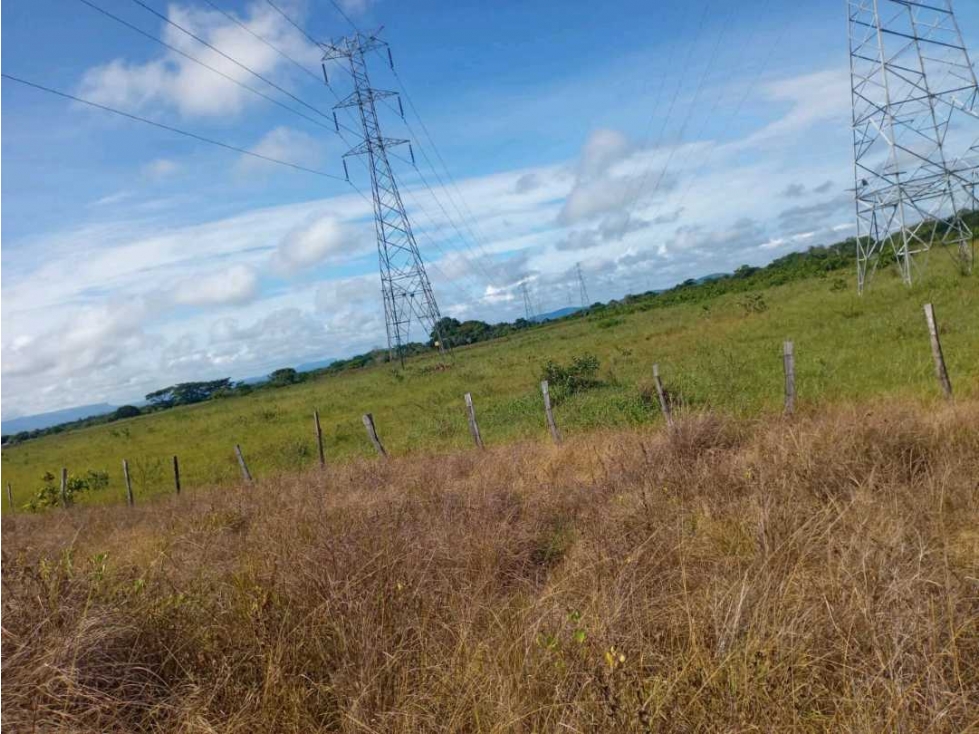 VENDO 73HECTAREAS TITULADAS GUALACA - 3