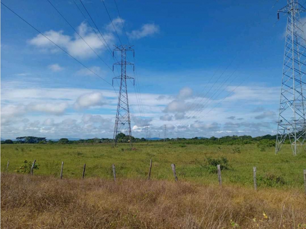 VENDO 73HECTAREAS TITULADAS GUALACA - 1