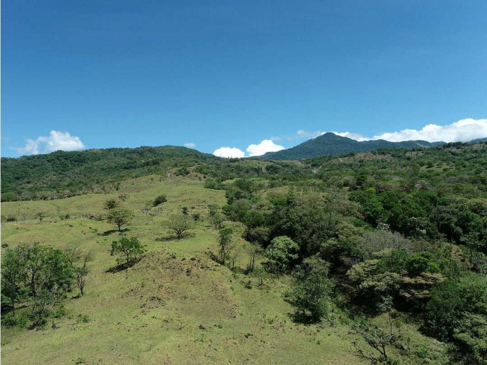 VENDO 7 h + 5000 M2 EN BOQUETE , TITULADA - 1