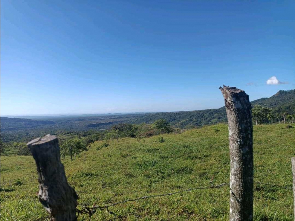 VENDO 7 h + 5000 M2 EN BOQUETE , TITULADA - 2