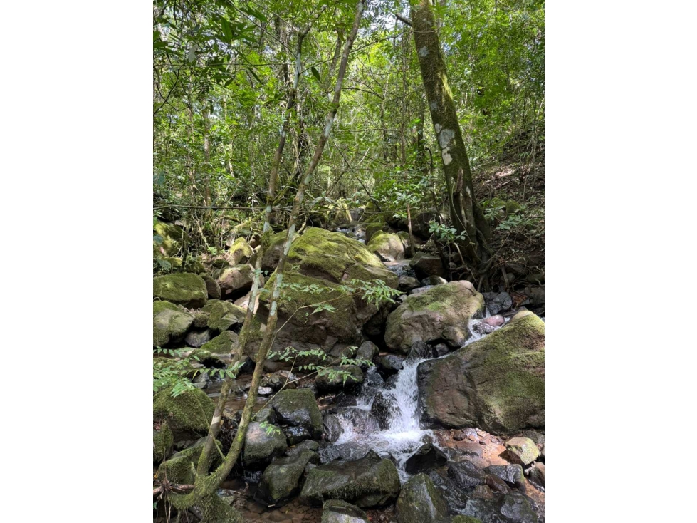 VENDO 7 h + 5000 M2 EN BOQUETE , TITULADA - 4