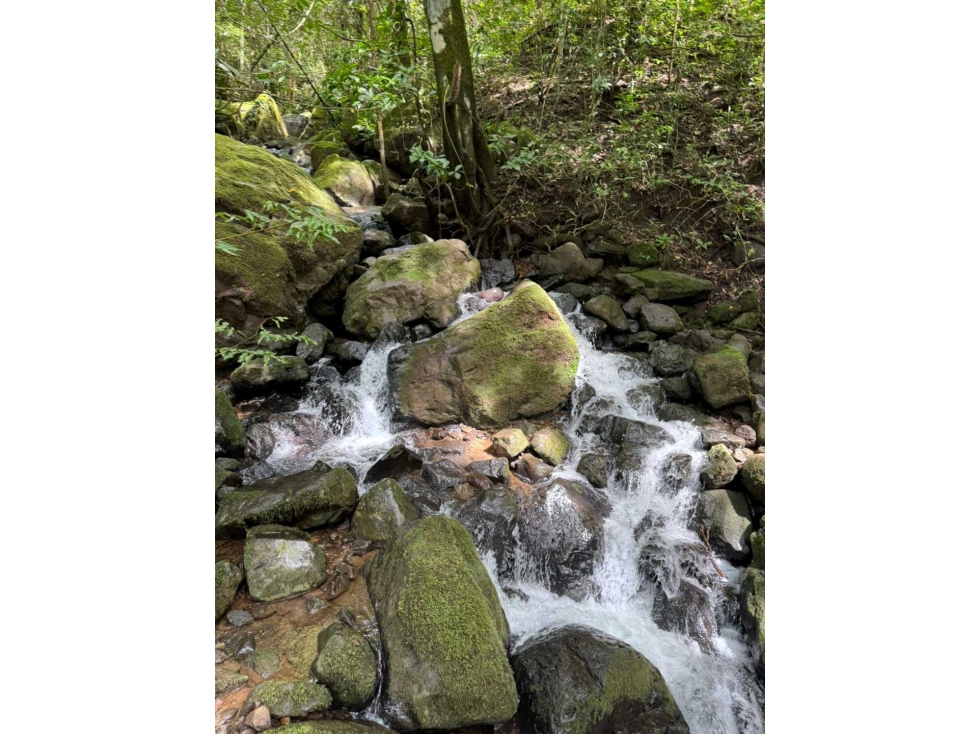 VENDO 7 h + 5000 M2 EN BOQUETE , TITULADA - 5