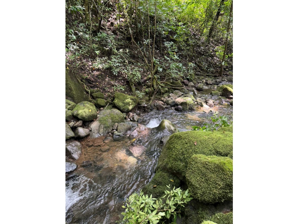 VENDO 7 h + 5000 M2 EN BOQUETE , TITULADA - 6