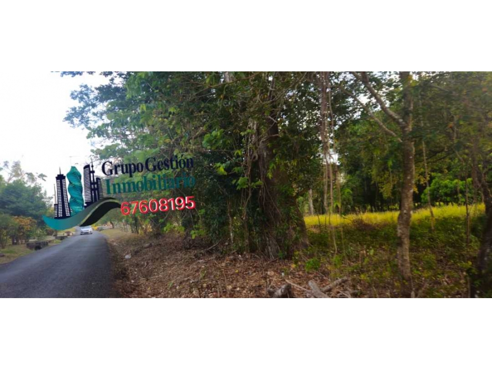 VENDO AMPLIO LOTE 3625 M2 ALGARROBOS - 3