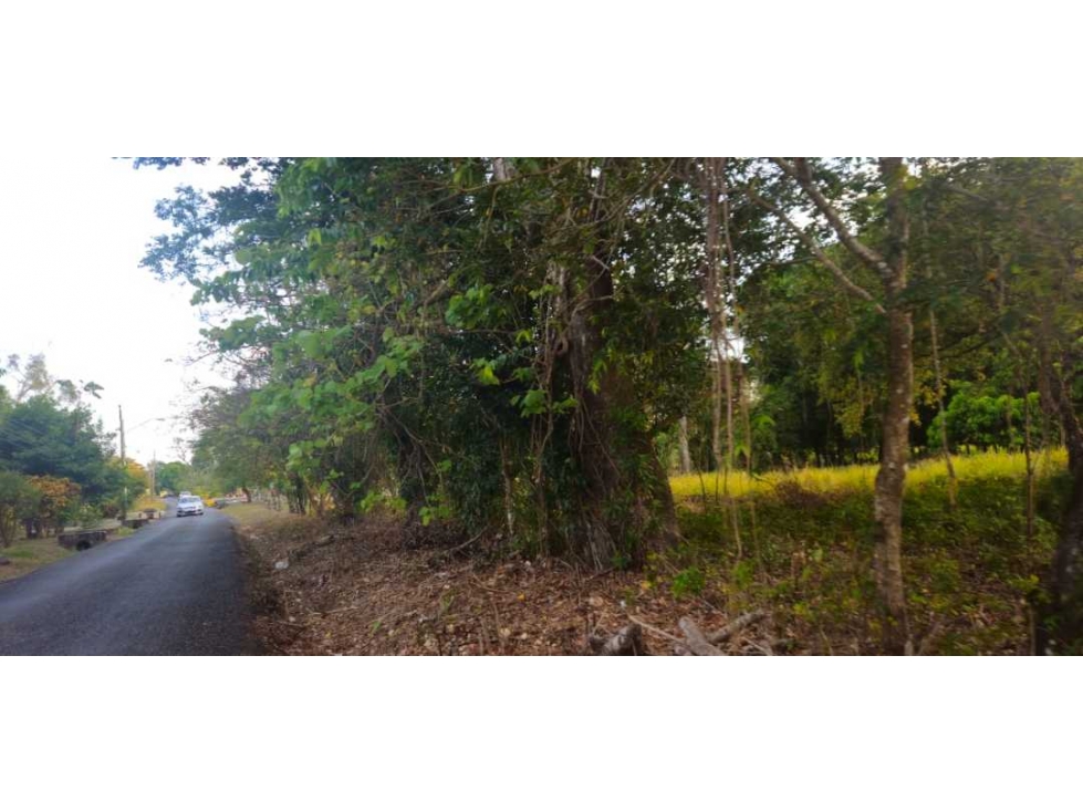 VENDO AMPLIO LOTE 3625 M2 ALGARROBOS - 5