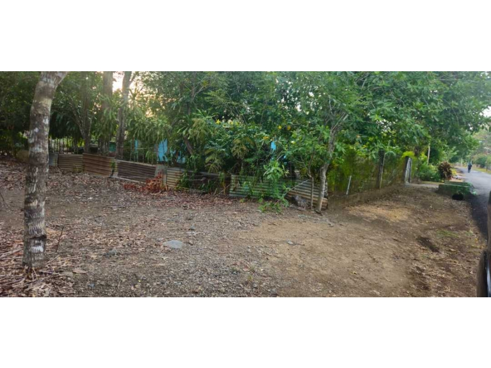 VENDO AMPLIO LOTE 3625 M2 ALGARROBOS - 6