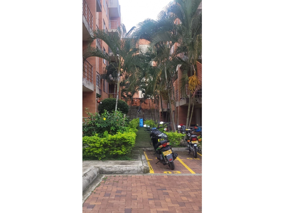 VENDO APARTAMENTO EN IBAGUE - EL SALADO CONFATOLIMA — foto 2