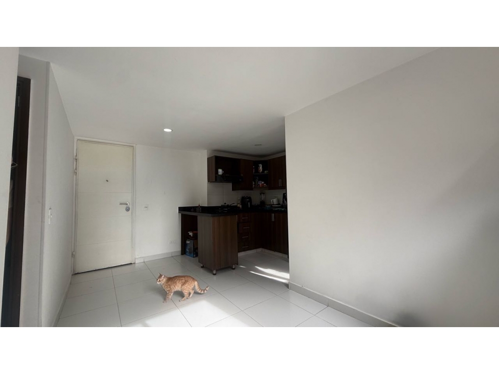 VENDO APARTAMENTO EN SAN ANTONIO DE PRADO — foto 3