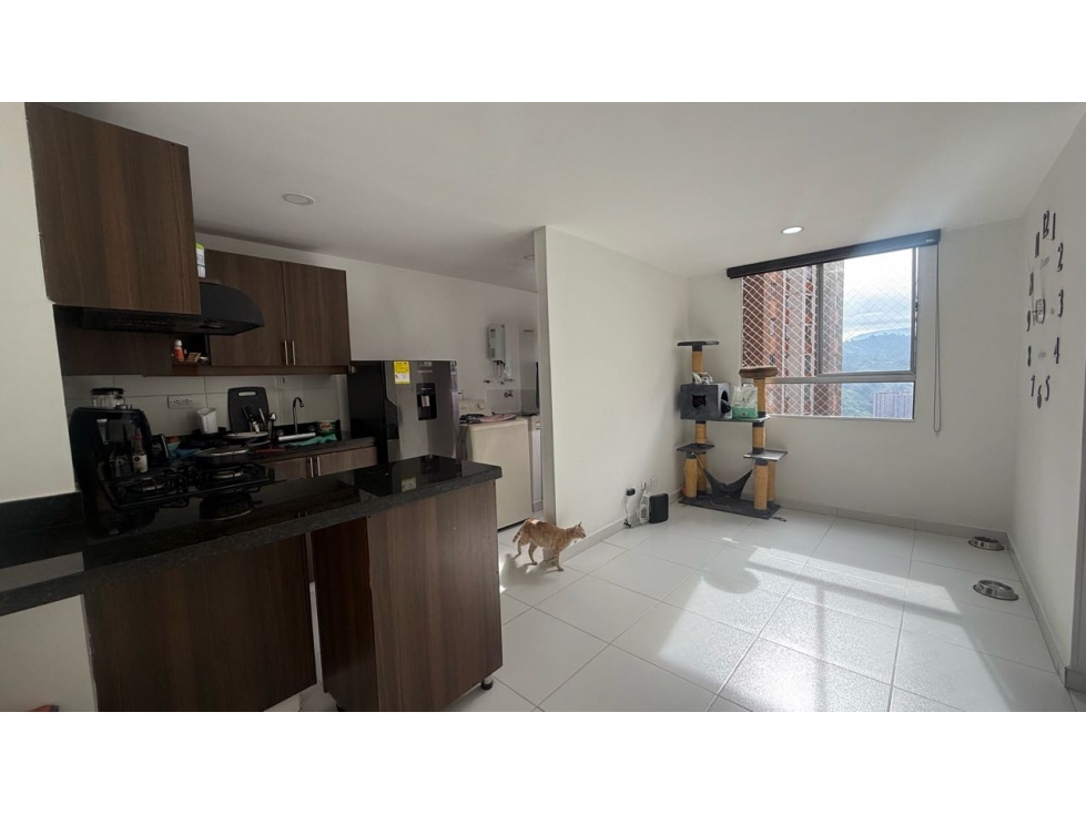 VENDO APARTAMENTO EN SAN ANTONIO DE PRADO — foto 4