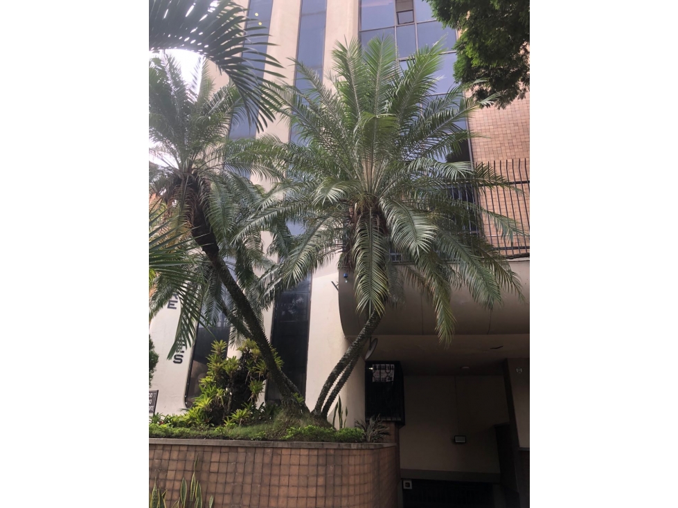 Vendo apartamento en Versalles — foto 2