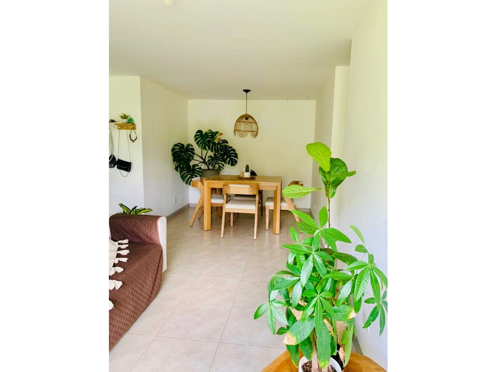 VENDO APARTAMENTO ENVIGADO LA CUENCA 64m2 VISTA VERDE SIN PONIENTE — foto 2