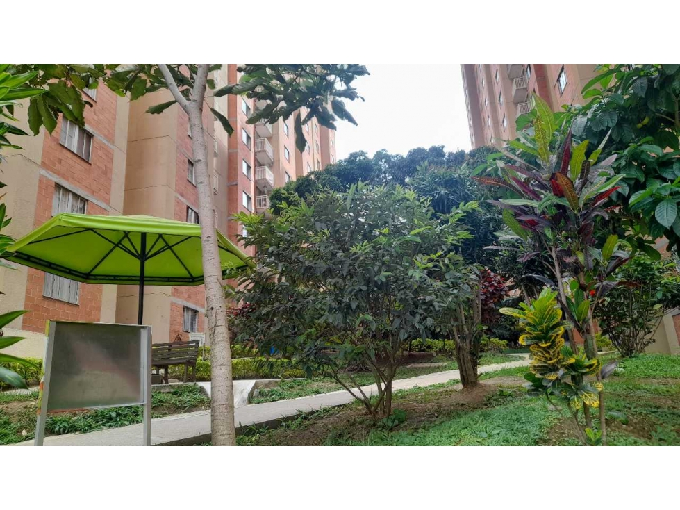 VENDO APARTAMENTO UNIDAD ARBOLEDA DEL CAMPO BELLO ANTIOQUIA — foto 3