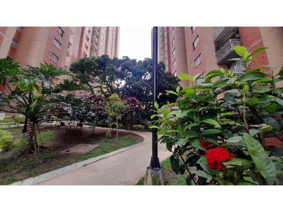 VENDO APARTAMENTO UNIDAD ARBOLEDA DEL CAMPO BELLO ANTIOQUIA — foto 5
