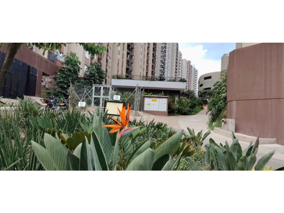 VENDO APARTAMENTO UNIDAD SENDERO SILVESTRE BELLO ANTIOQUIA — foto 5