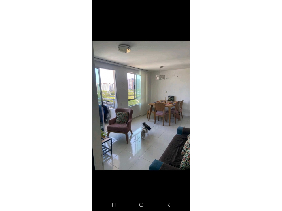 Vendo apartamento Villa Campestre — foto 6