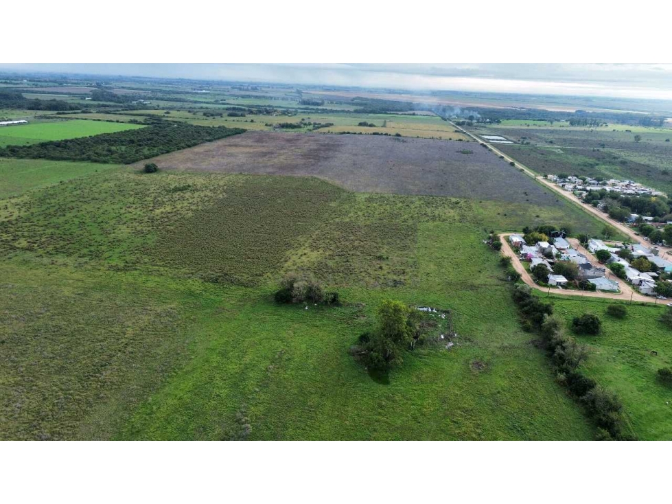 Vendo Campo 48 Has en San Justo Entre Ríos - 1