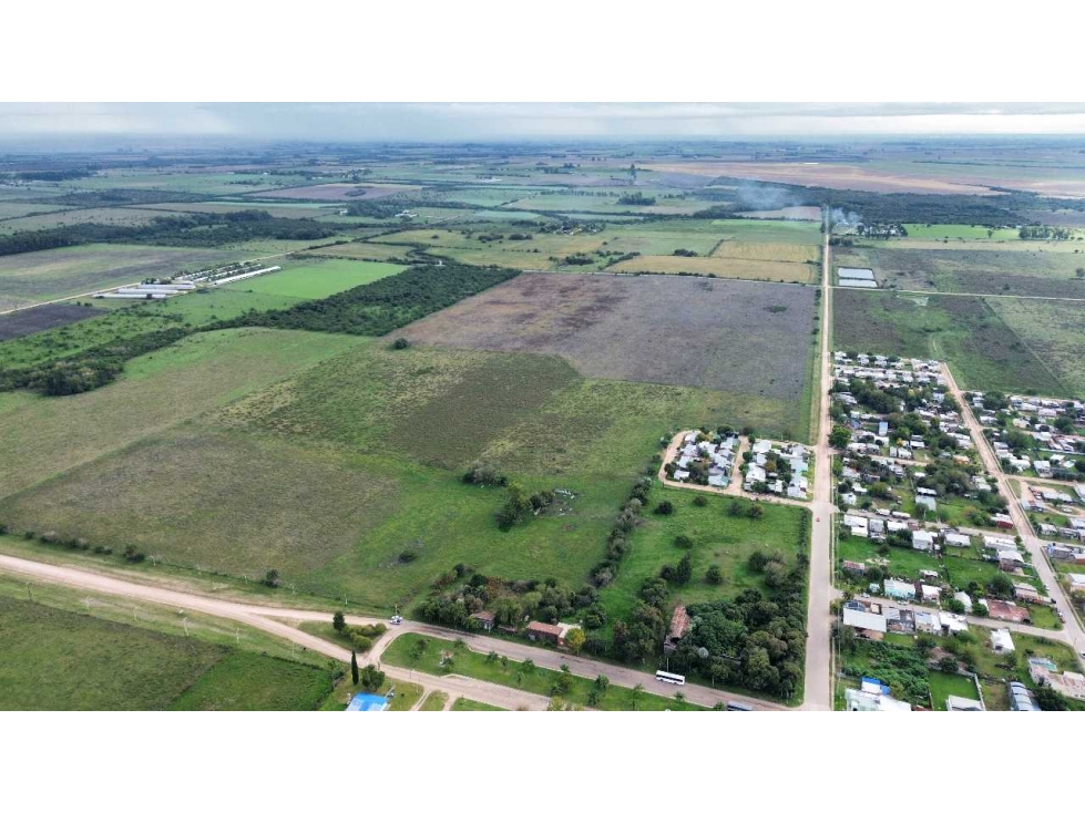 Vendo Campo 48 Has en San Justo Entre Ríos - 2