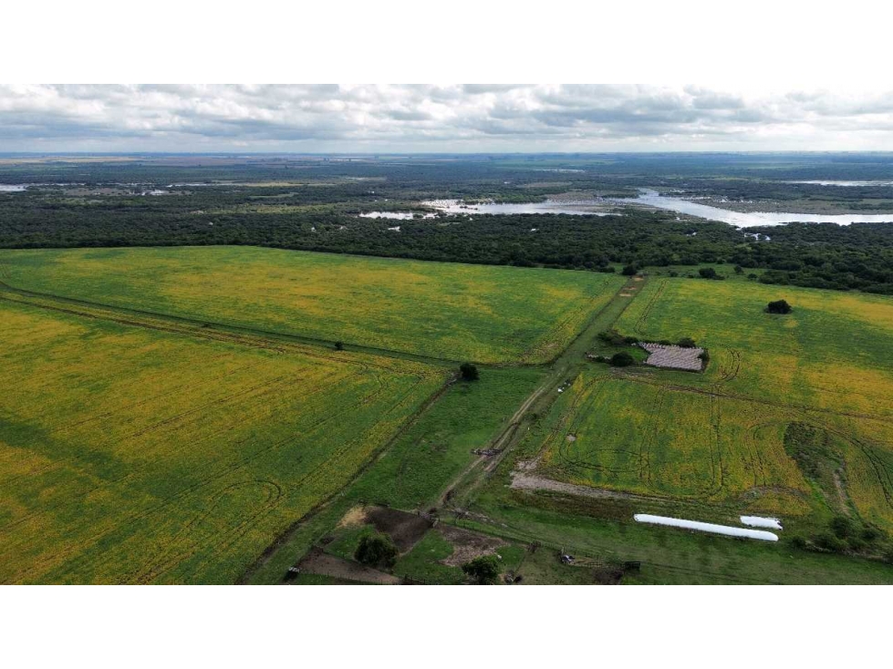 Vendo Establecimiento de 906 Has en Colonia Los Ceibos Entre Ríos - 2