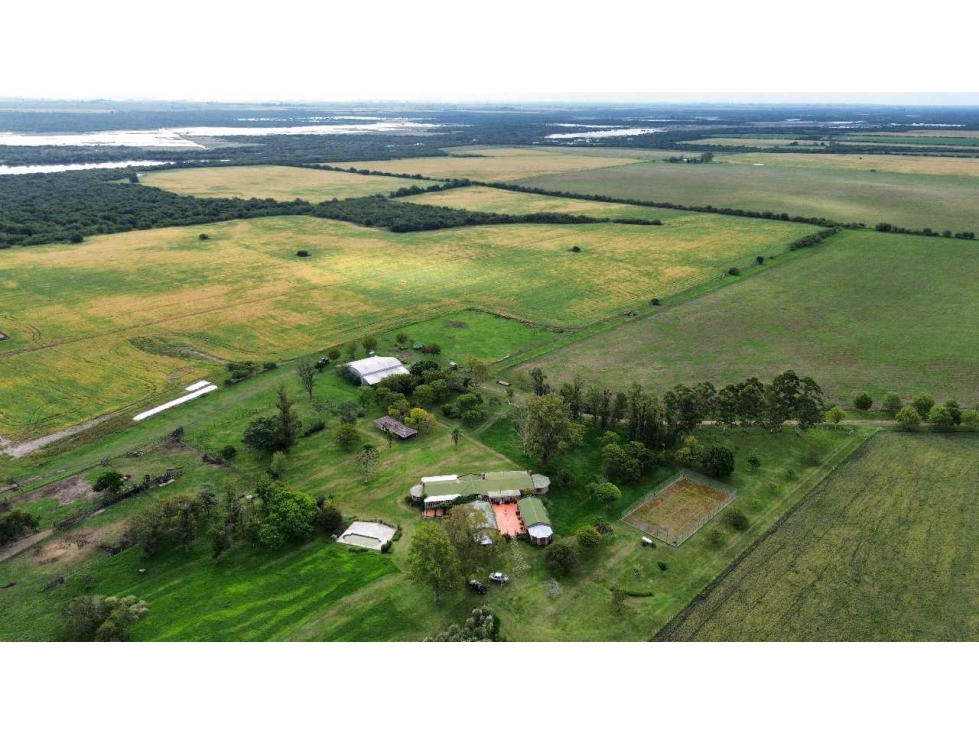 Vendo Establecimiento de 906 Has en Colonia Los Ceibos Entre Ríos - 5