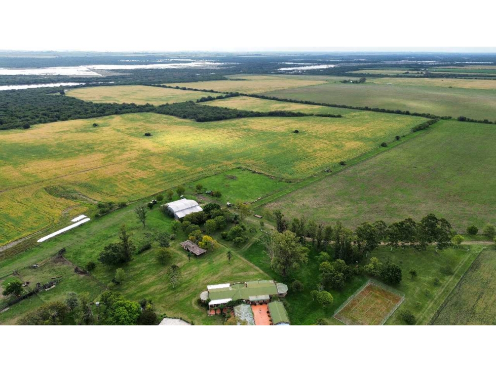 Vendo Establecimiento de 906 Has en Colonia Los Ceibos Entre Ríos - 6