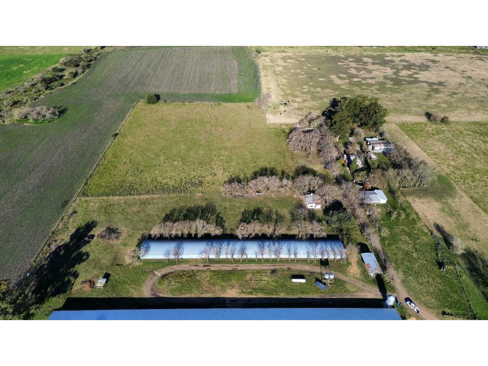 Vendo Campo de 21 Has con Gja Avícola y 2 Casas en Colonia Elía, E R - 3
