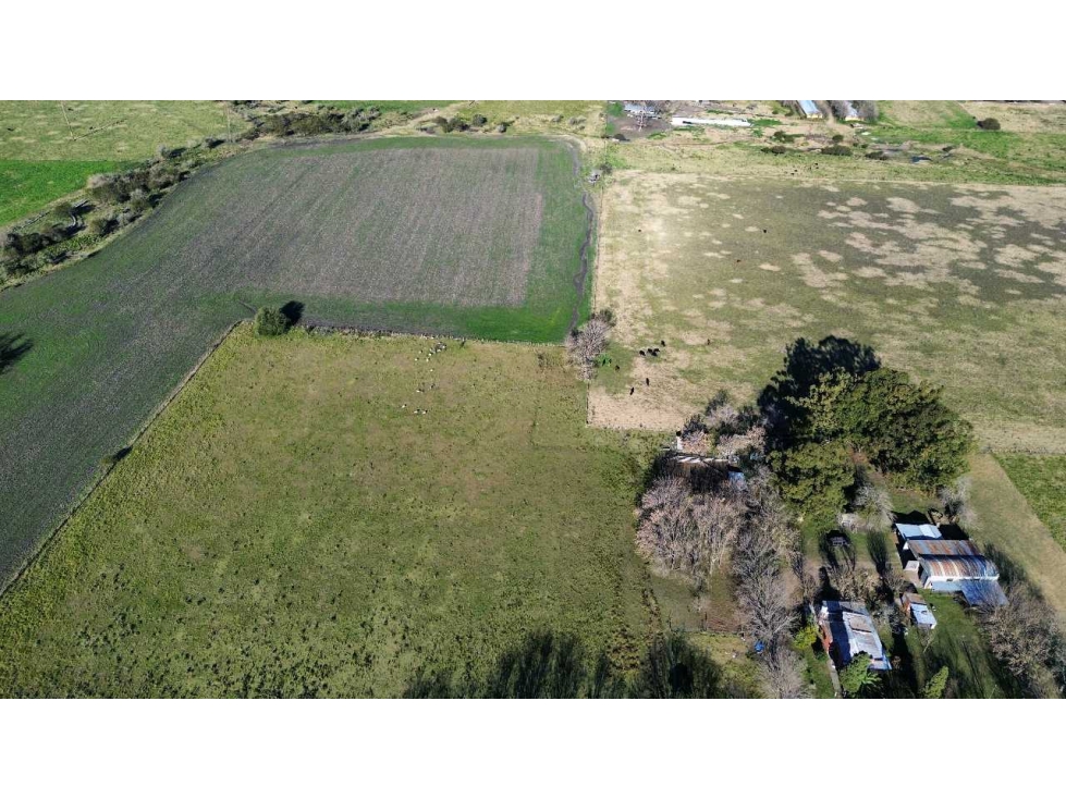 Vendo Campo de 21 Has con Gja Avícola y 2 Casas en Colonia Elía, E R - 4