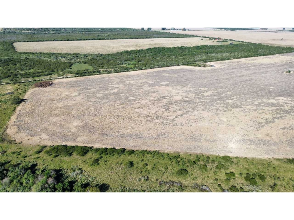 Vendo Campo de 90 Has en Colonia Elía, Entre Ríos - 1