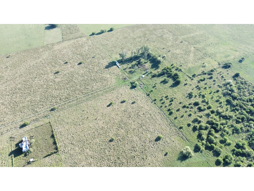 Vendo Campo de 26 Hectáreas en San Justo, Entre Ríos. - 3