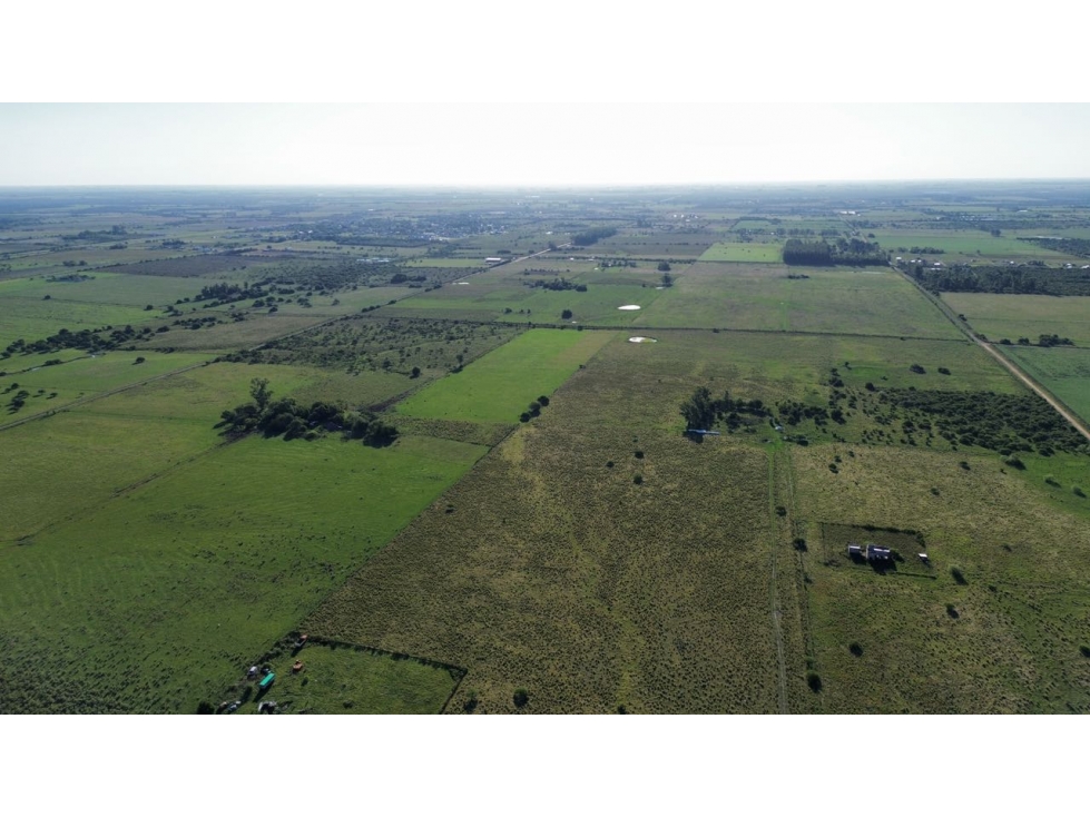 Vendo Campo de 26 Hectáreas en San Justo, Entre Ríos. - 5