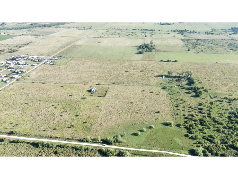 Vendo Campo de 26 Hectáreas en San Justo, Entre Ríos. - 4