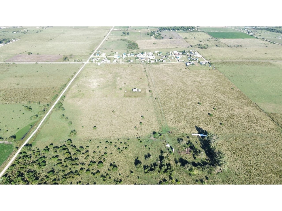 Vendo Campo de 26 Hectáreas en San Justo, Entre Ríos. - 6