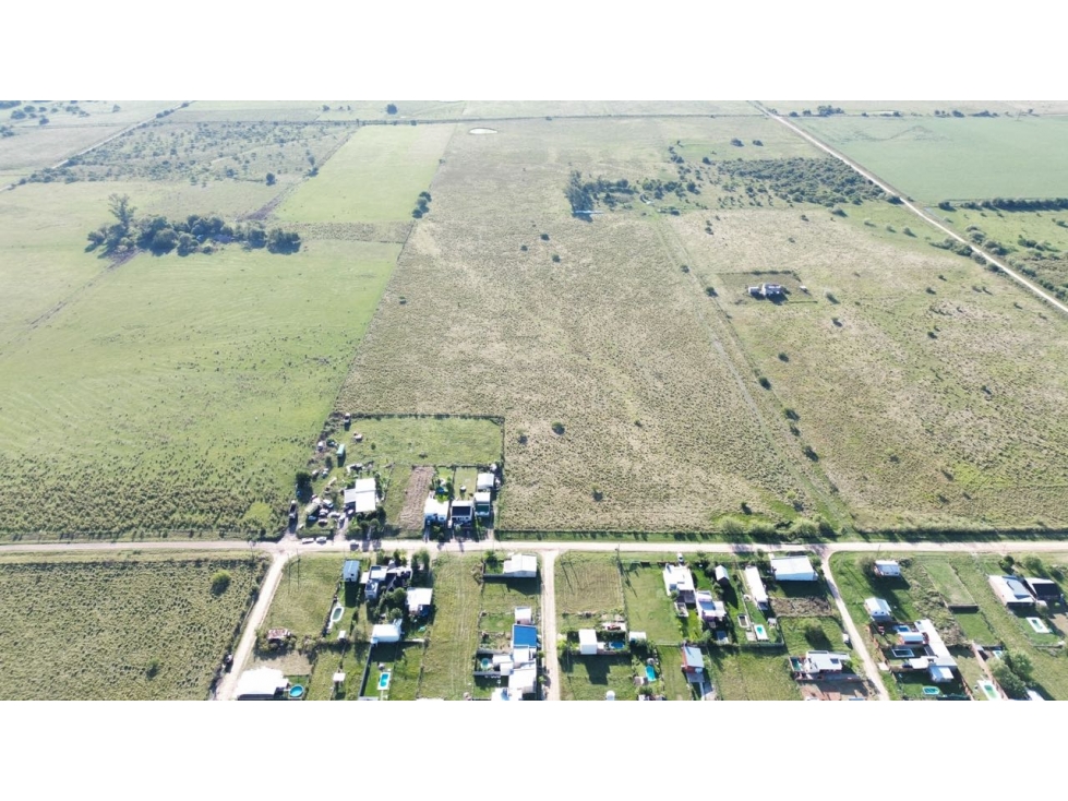 Vendo Campo de 26 Hectáreas en San Justo, Entre Ríos. - 2