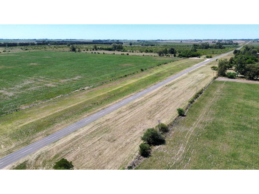 Vendo Campo de 349 hectáreas en Gualeguaychú, Entre Ríos. - 2