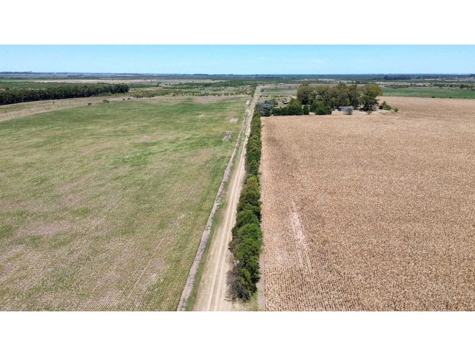 Vendo Campo de 349 hectáreas en Gualeguaychú, Entre Ríos. - 3