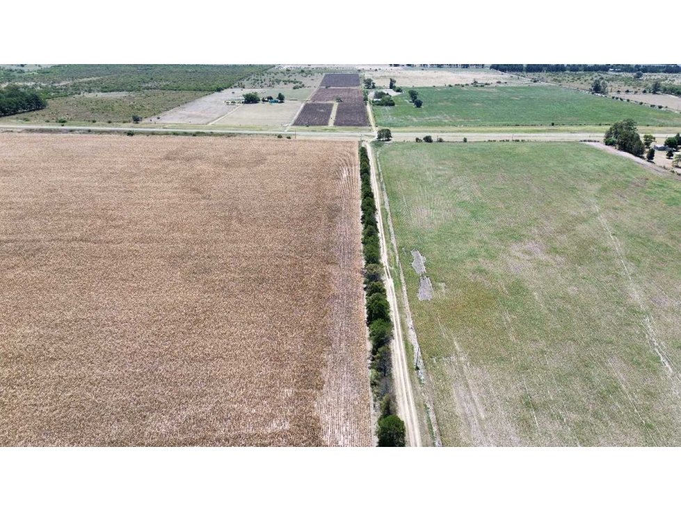Vendo Campo de 349 hectáreas en Gualeguaychú, Entre Ríos. - 5