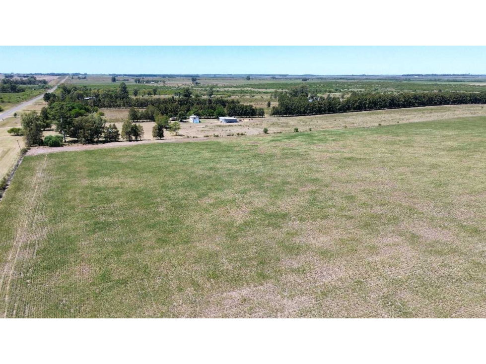 Vendo Campo de 349 hectáreas en Gualeguaychú, Entre Ríos. - 6