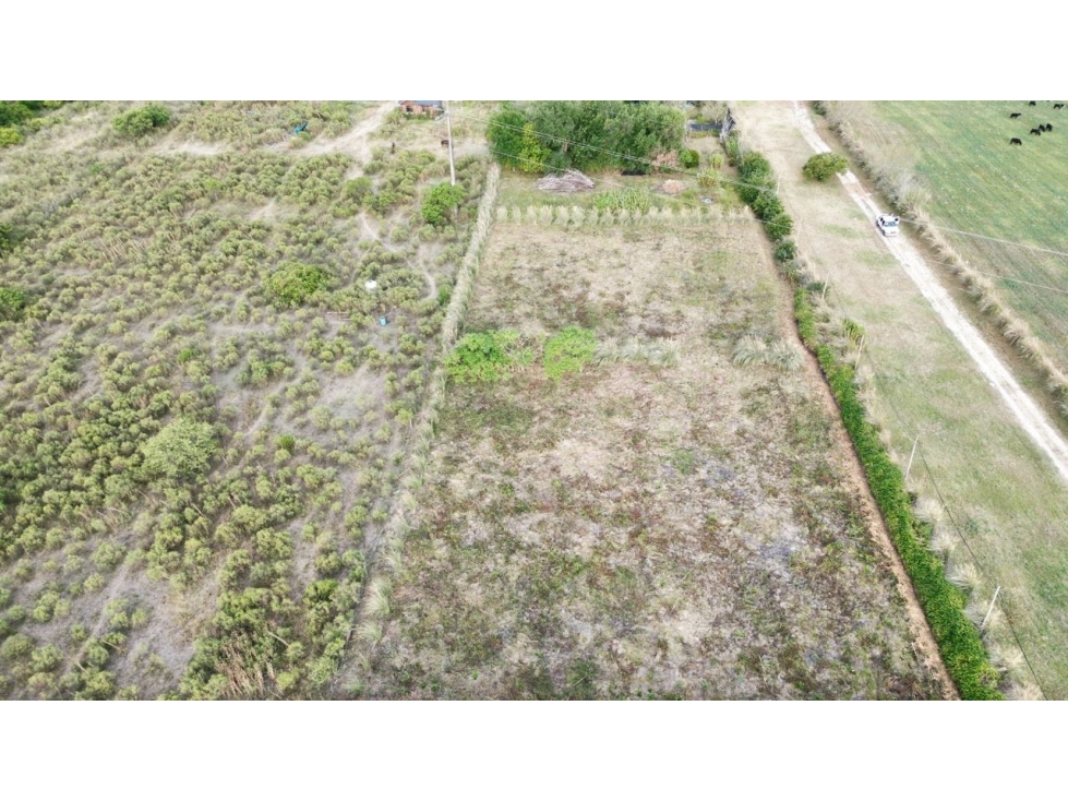 Vendo Lote de 3.300 m2 en Col. Hughes, Colón, Entre Ríos. - 3