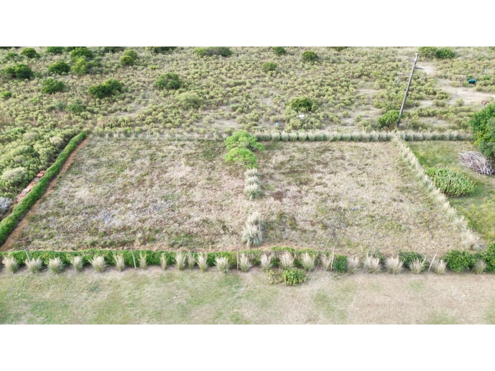 Vendo Lote de 3.300 m2 en Col. Hughes, Colón, Entre Ríos. - 5