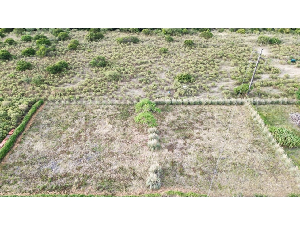 Vendo Lote de 3.300 m2 en Col. Hughes, Colón, Entre Ríos. - 6